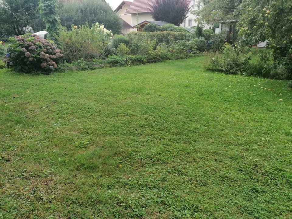 Hortensia - Appartment - Ferienwohnung - Ferienhaus Munzkirchen Luaran gambar